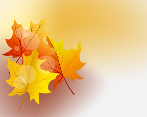 Image showing Autumn background