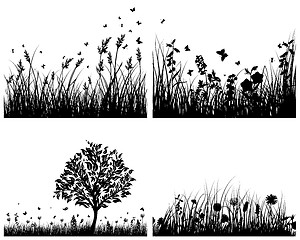 Image showing meadow silhouettes