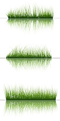 Image showing grass on water