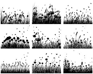 Image showing meadow silhouettes