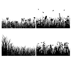 Image showing meadow silhouettes