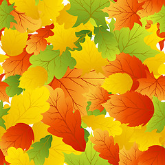 Image showing maples leaves seamless