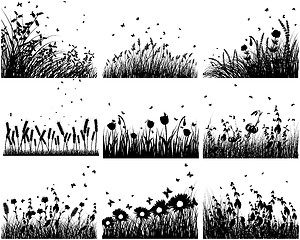 Image showing meadow silhouettes