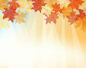 Image showing Autumn background