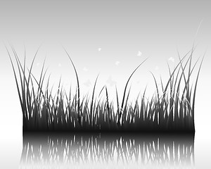 Image showing grass on water