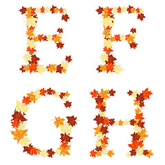 Image showing Autumn maples leaves letter