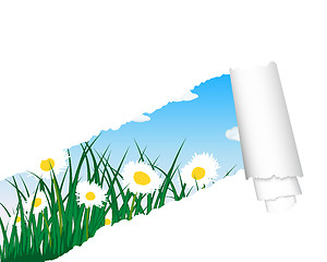 Image showing meadow silhouettes with ripped stripe