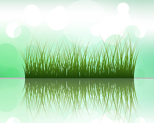 Image showing grass on water