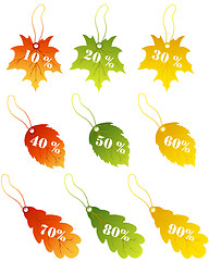 Image showing maples leaves sale label