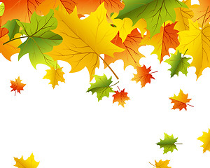 Image showing Autumn background