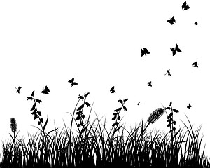 Image showing meadow silhouettes