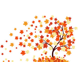 Image showing Autumn background