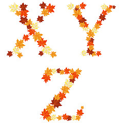 Image showing Autumn maples leaves letter