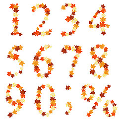 Image showing Autumn maples leaves numeral