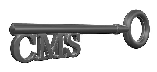 Image showing cms key