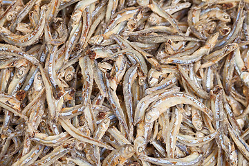 Image showing Whitebait - anchovies