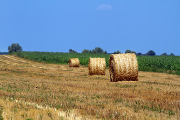 Image showing Hay bales