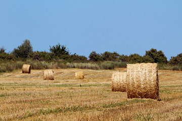 Image showing Hay bales