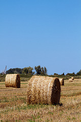 Image showing Hay bales