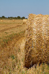 Image showing Hay bales