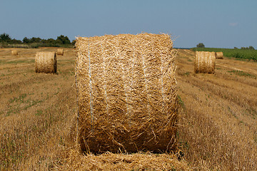 Image showing Hay bales