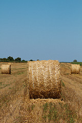 Image showing Hay bales