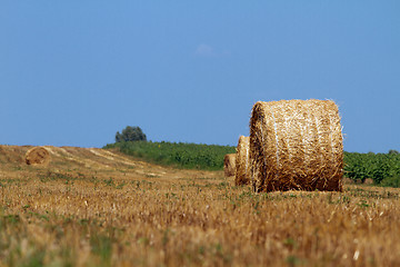 Image showing Hay bales