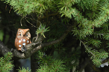 Image showing ceramic owl on the branch of a fir tree