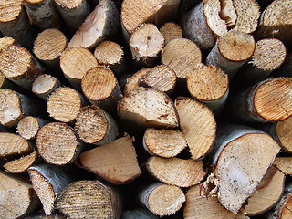 Image showing Stack of chopped wood