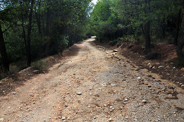 Image showing dirt road