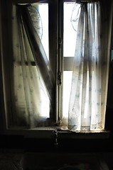 Image showing ragged curtains