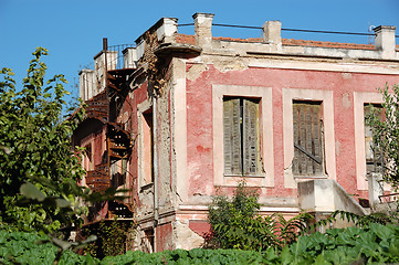 Image showing overgrown garden