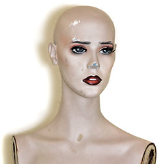Image showing doll head