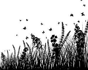 Image showing meadow silhouettes