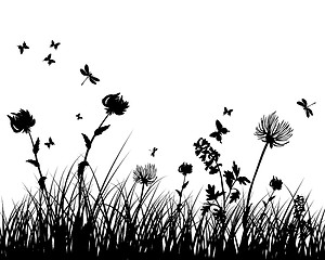 Image showing meadow silhouettes