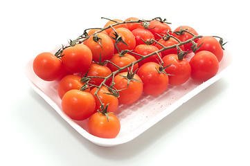 Image showing Cherry tomatoes on vine with water drops.