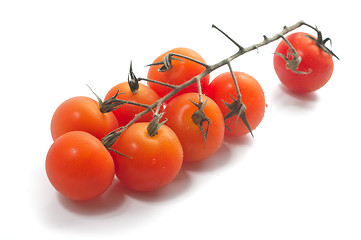 Image showing Cherry tomatoes on vine with water drops.