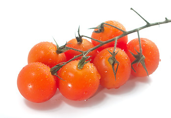 Image showing Cherry tomatoes on vine with water drops.