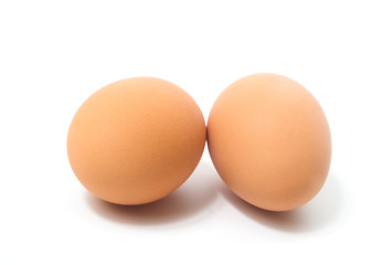 Image showing Eggs on a plain background