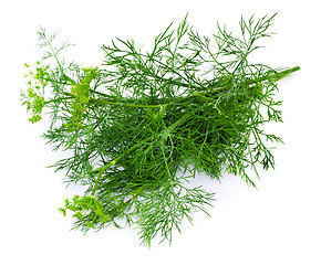 Image showing Dill on a white background