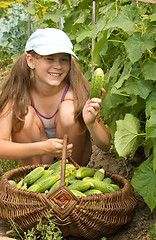 Image showing Little girl and cucumbers