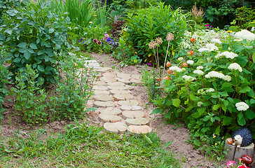 Image showing Path in a garden
