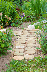 Image showing Small path in the garden