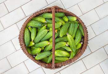 Image showing Basket is filled by cucumbers