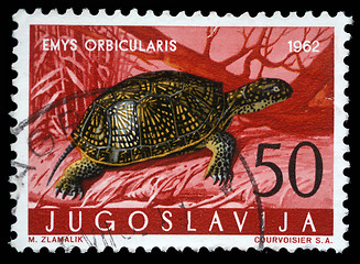 Image showing Stamp printed in Yugoslavia shows the European pond turtle