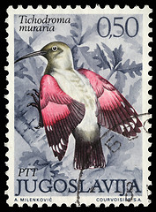 Image showing Stamp printed in Yugoslavia shows the Wallcreeper
