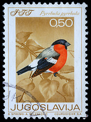 Image showing Stamp printed in Yugoslavia shows the Eurasian Bullfinch