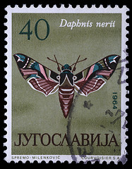 Image showing tamp printed in Yugoslavia shows butterfly