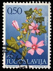 Image showing tamp printed in Yugoslavia shows genus Malva