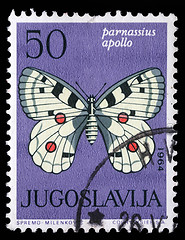 Image showing tamp printed in Yugoslavia shows butterfly